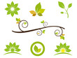Green elements based on leaf