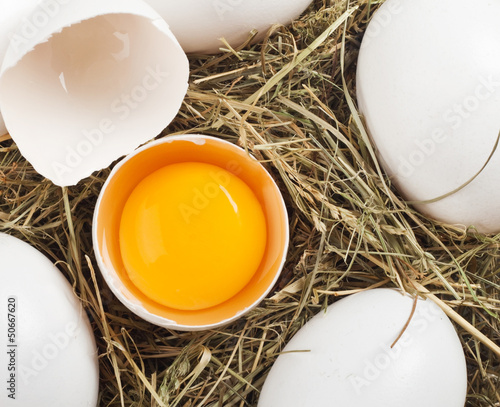 Photo: Nest egg Nest egg