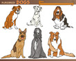 purebred dogs cartoon illustration set