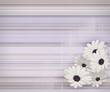 Abstract with Flowers