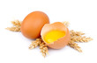 Fresh eggs and wheat