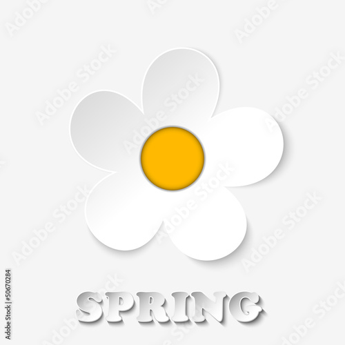 Vector: Beautiful Spring Flowers White Background Beautiful Spring Flowers White Background