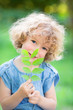 Young plant against green background