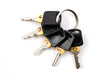 Key ring