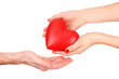 Red heart in woman and man hands, isolated on white