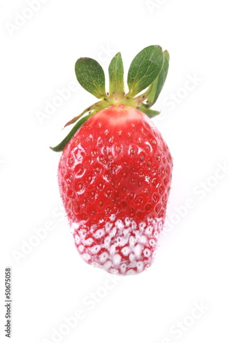 Photo: Strawberry Strawberry