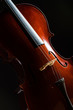 Violin in dark room  - music concept