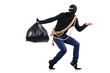 Burglar wearing balaclava isolated on white