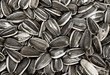 Sunflower seed