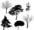 six black tree silhouettes isolated on white