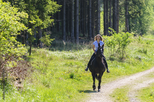 Photo: Ausritt im Wald Ausritt im Wald