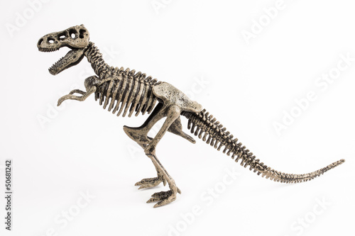 Photo: t-rex t-rex