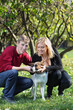 Photo: Happy couple squat and touch dog in park at sunny autumn day. Happy couple squat and touch dog in park at sunny autumn day.