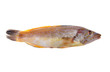 Foto: Whole wrasse Whole wrasse
