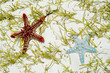 starfish underwater on the sand with sunlight