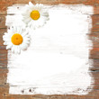 Zwei Margeriten auf Holz, zwei Blüten, Grußkarte