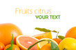 Fruits citrus