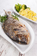 Delicious seafood background.
