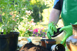 Garten 36