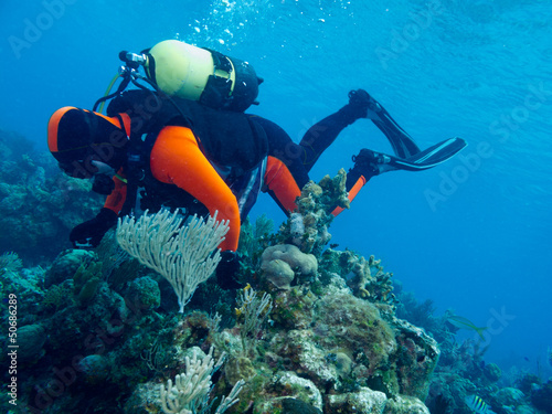 Photo: diver diver