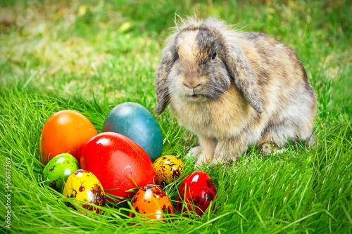 Photo: Adorable bunny and Easter eggs on the grass Adorable bunny and Easter eggs on the grass
