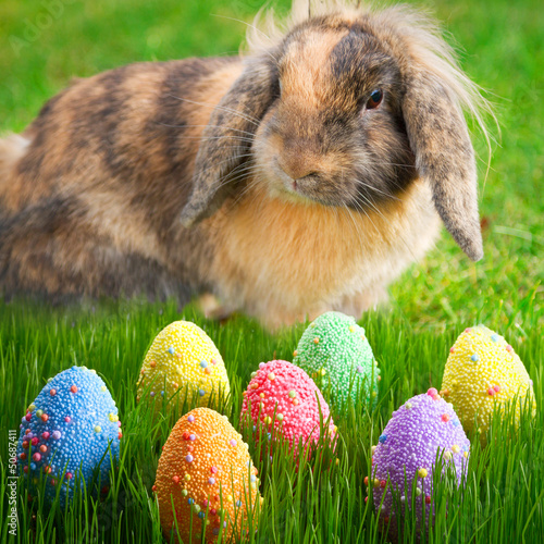 Photo: Adorable bunny and Easter eggs on the grass Adorable bunny and Easter eggs on the grass
