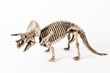 triceratops