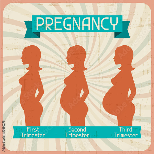 Vector: Silhouette of a pregnant woman in the three trimesters. Silhouette of a pregnant woman in the three trimesters.