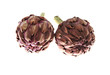 Foto: artichauts artichauts