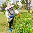Woman cut bush clippers