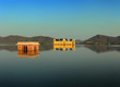 landscape with jal mahal on lake in Jaipur