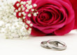 Photo: Wedding rings with pink rose Hochzeitsringe mit Rose Wedding rings with pink rose Hochzeitsringe mit Rose