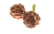 Foto: artichauts artichauts