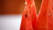 Video: Fresh sliced watermelon gyrating in loop. Close up. Fresh sliced watermelon gyrating in loop. Close up.