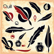 Feather. Quill.