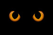 Vektor: Augen Augen