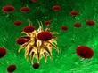 yellow virus and red cells
