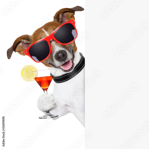 Photo: funny cocktail dog funny cocktail dog