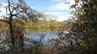 Looking through the trees at kyaking on the river