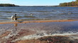 Video: Low angle view from the shore of swimming geese Low angle view from the shore of swimming geese
