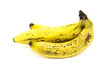 three ripe bananas