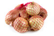 Bag of onions isolated