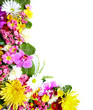 Floral greeting card with beautiful flowers.