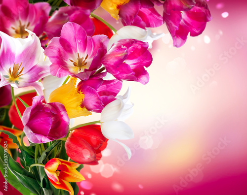 Photo: Spring Flowers. Tulips Border Art Design Spring Flowers. Tulips Border Art Design