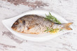 Grilled fish on plate, top view.