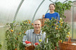 Woman and man in tomato plant