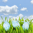 Easter eggs in green grass