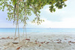 Photo: Wood swing on beach Wood swing on beach