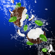 Cracked coconut with splashing water