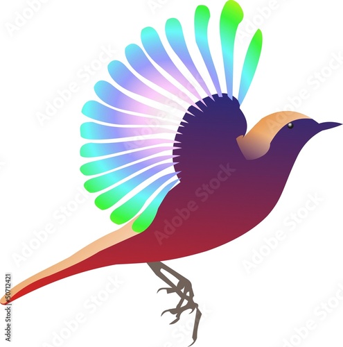 Illustration: Vogelflug Vogelflug